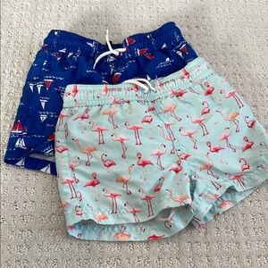 Janie and Jack Kids Flamingo and Sailboat Print Shorts Set